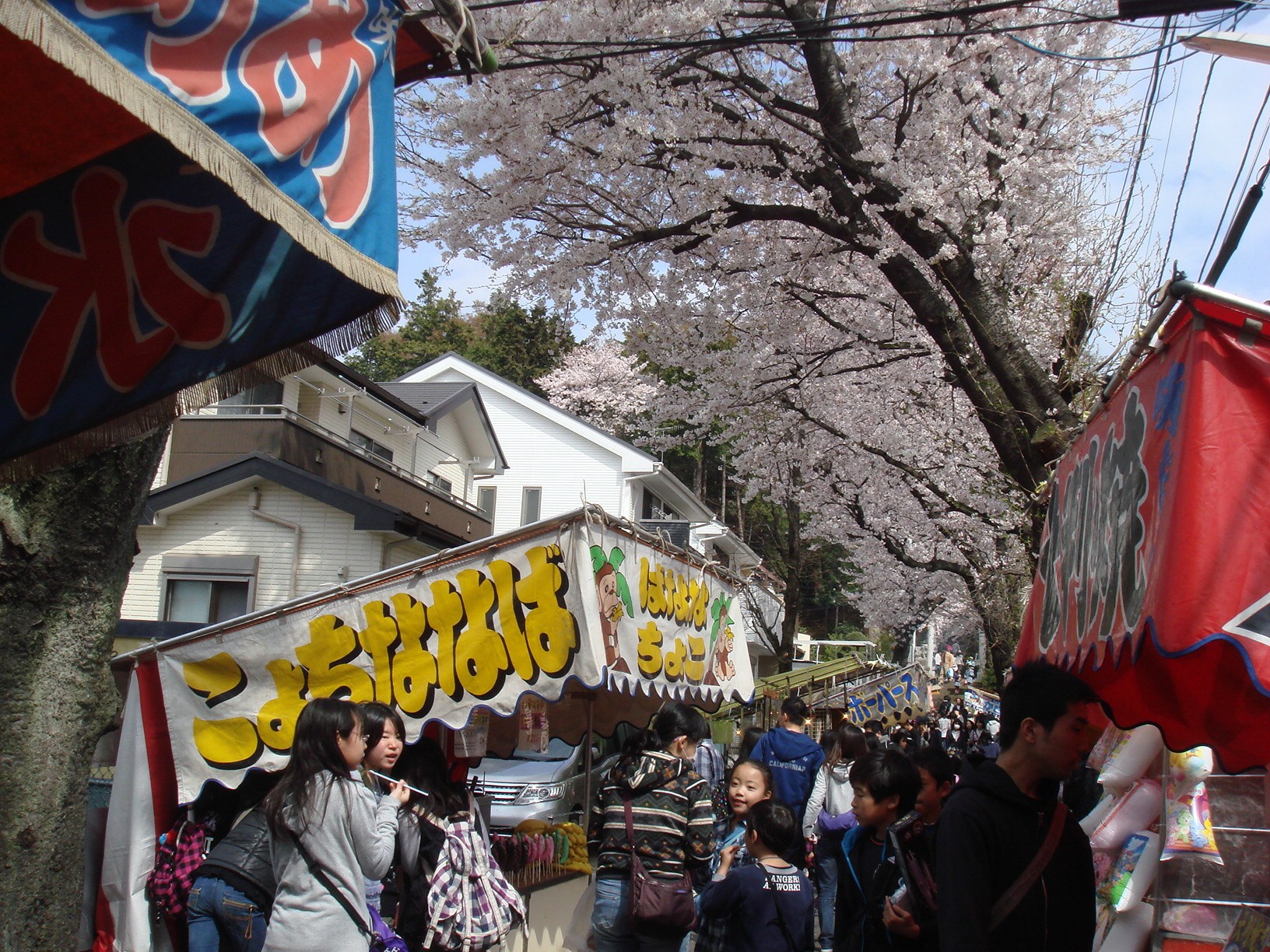 サンプルイメージ