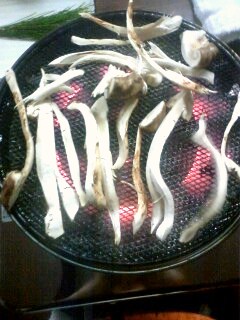 サンプルイメージ