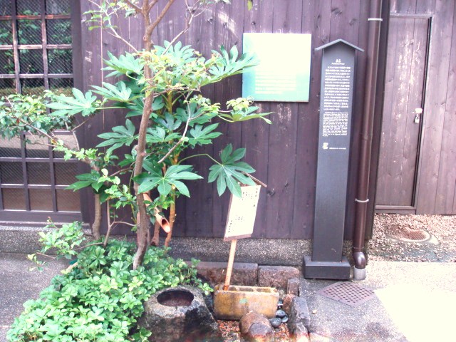 サンプルイメージ